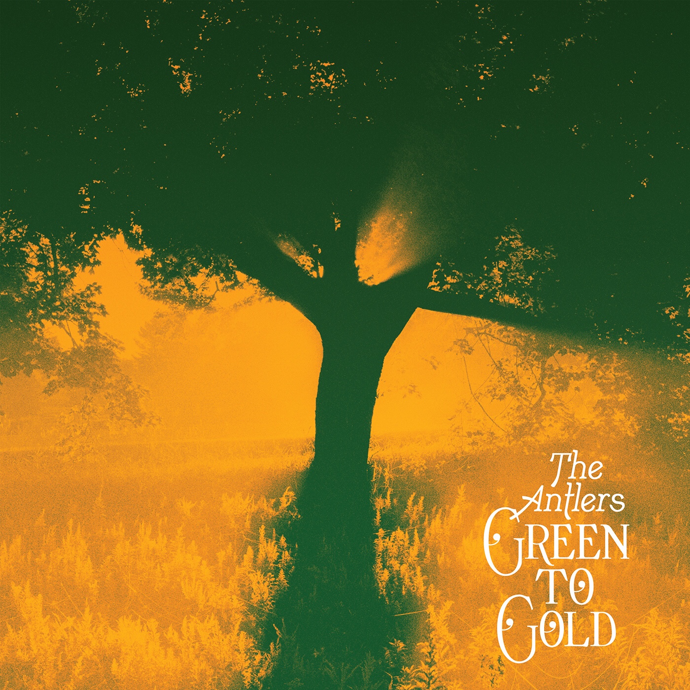 カルト的人気を誇るブルックリンのインディー・ロック・バンド、The Antlersがニュー・アルバム”Green To Gold”を3/26にリリース。