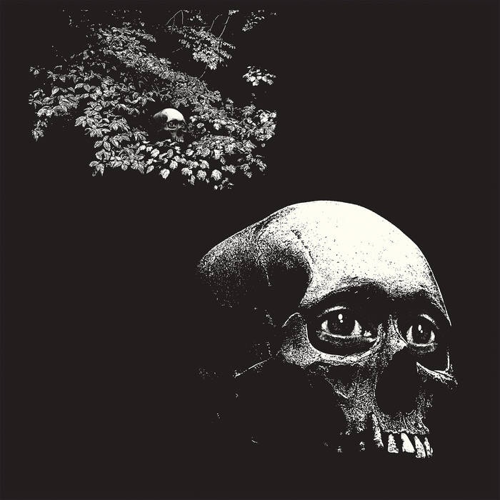 LAのガレージ・パンク・バンド、Osees がニュー・アルバム”A Foul Form”を8/12にリリース。
